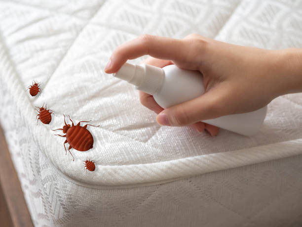 Best Emergency Pest Control  in Unadilla, GA